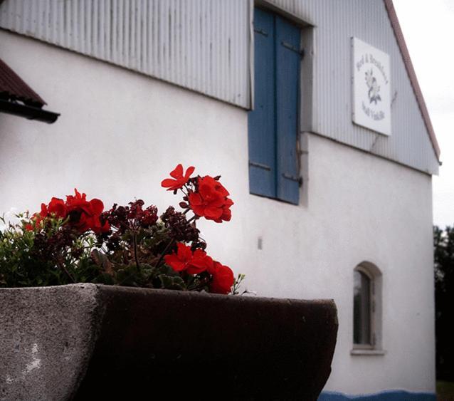 Bed & Breakfast Vinkille Löderup エクステリア 写真