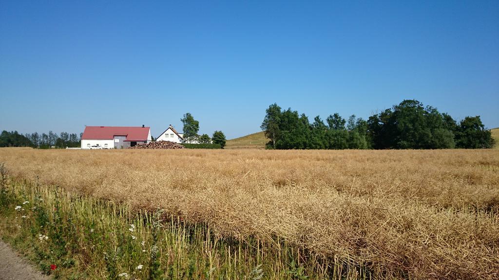 Bed & Breakfast Vinkille Löderup エクステリア 写真